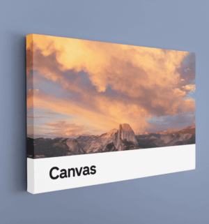 Premium Canvas Art